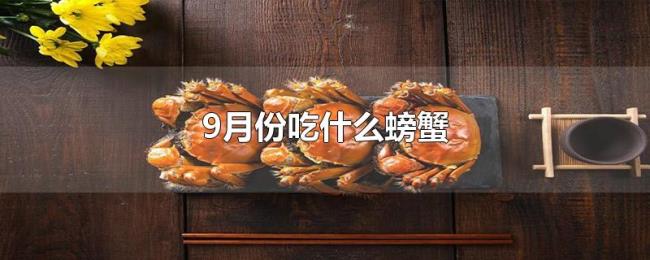 9月份吃什么螃蟹