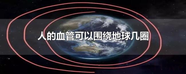 人的血管可以围绕地球几圈 人的血管可以围绕地球几圈
