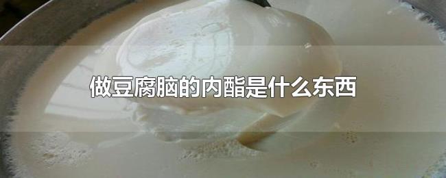 做豆腐脑的内酯是什么东西 做豆腐脑的内酯是什么东西