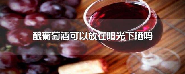 酿葡萄酒可以放在阳光下晒吗 酿葡萄酒可以放在阳光下晒吗