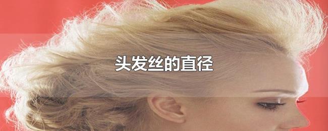 头发丝的直径 头发丝的直径