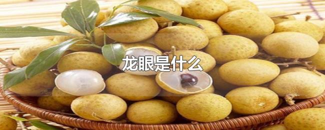 龙眼是什么 龙眼是什么