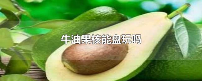 牛油果核能盘玩吗