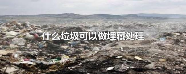 什么垃圾可以做埋藏处理