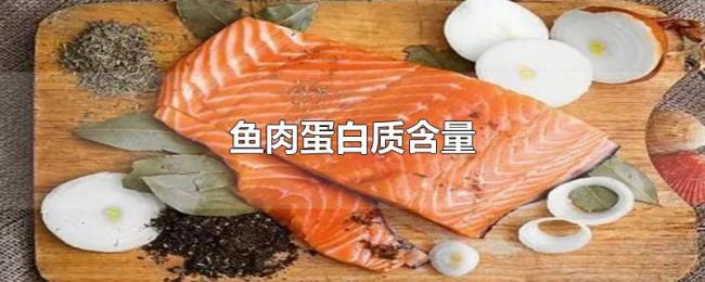 鱼肉蛋白质含量 鱼肉蛋白质含量