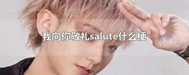 我向你敬礼salute什么梗 我向你敬礼salute什么梗