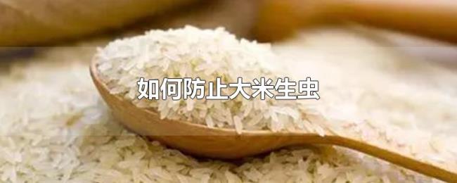 如何防止大米生虫