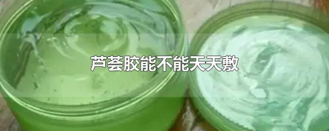 芦荟胶能不能天天敷