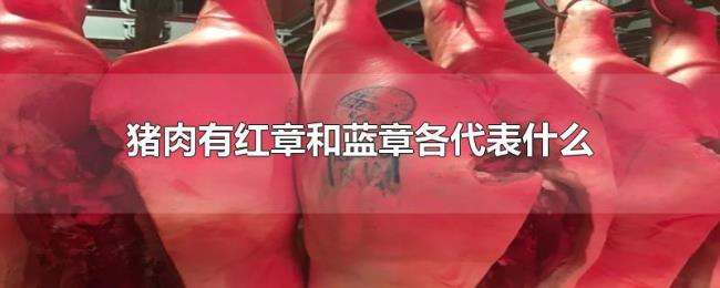 猪肉有红章和蓝章各代表什么