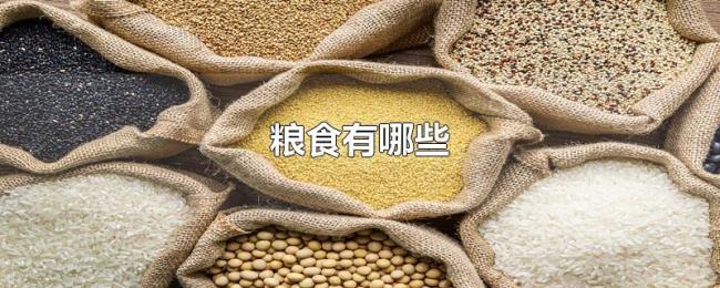 粮食有哪些