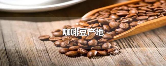咖啡豆产地