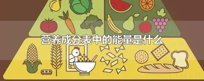 营养成分表中的能量是什么 营养成分表中的能量是什么