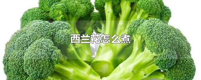 西兰花怎么煮 西兰花怎么煮