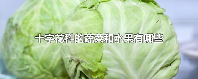 十字花科的蔬菜和水果有哪些