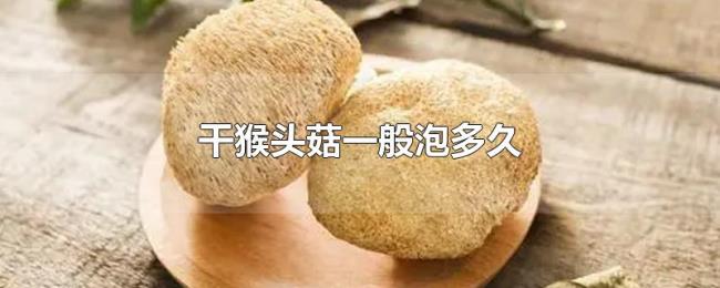干猴头菇一般泡多久