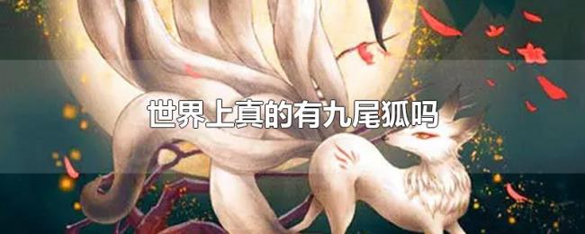 世界上真的有九尾狐吗