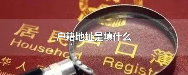 户籍地址是填什么