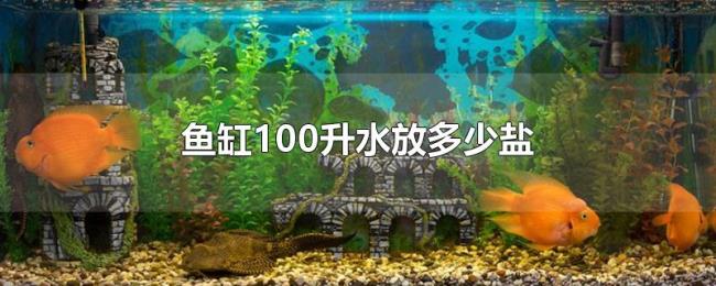 鱼缸100升水放多少盐