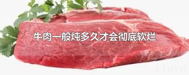 牛肉一般炖多久才会彻底软烂