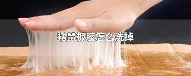 粘鼠板胶怎么洗掉 粘鼠板胶怎么洗掉