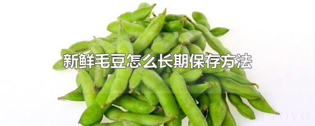 新鲜毛豆怎么长期保存方法