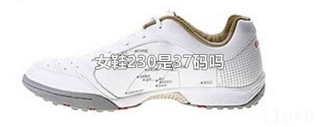 女鞋230是37码吗 女鞋230是37码吗