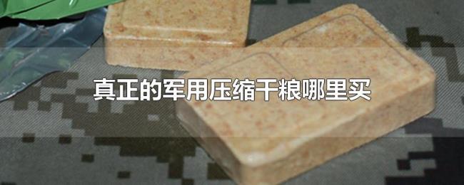 真正的军用压缩干粮哪里买
