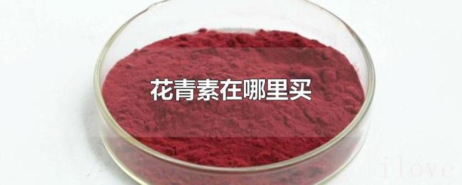 花青素在哪里买 花青素在哪里买