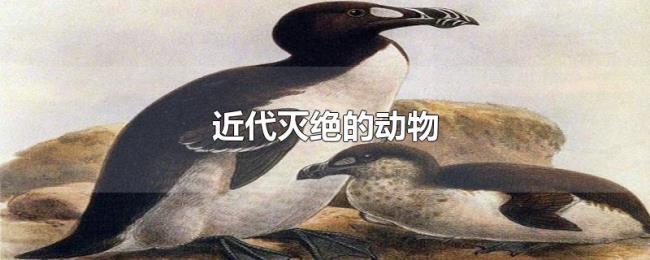 近代灭绝的动物