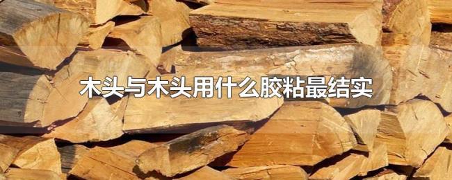 木头与木头用什么胶粘最结实