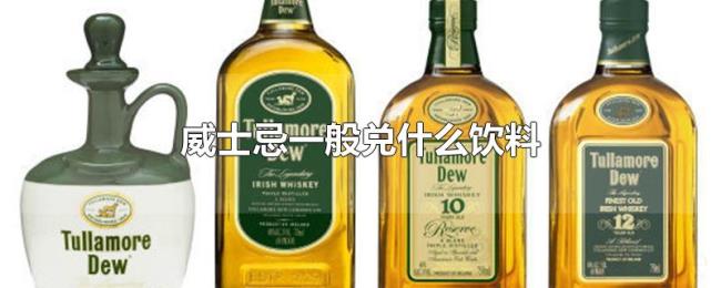 威士忌一般兑什么饮料