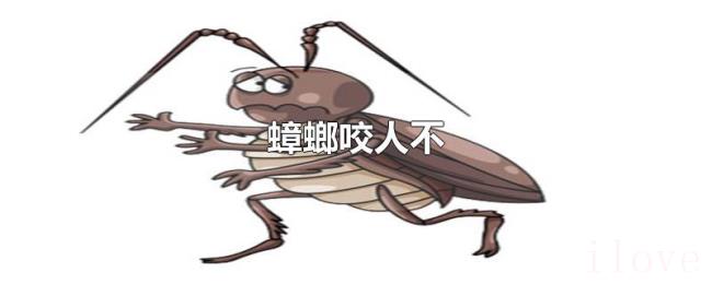 蟑螂咬人不
