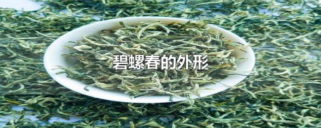 碧螺春的外形