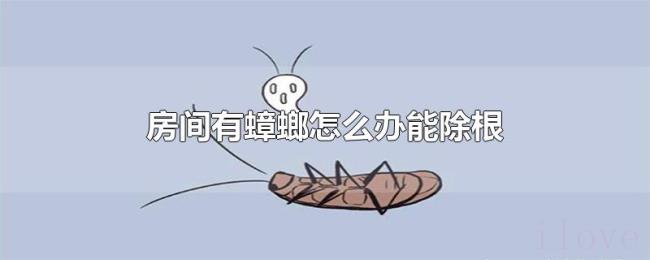 房间有蟑螂怎么办能除根
