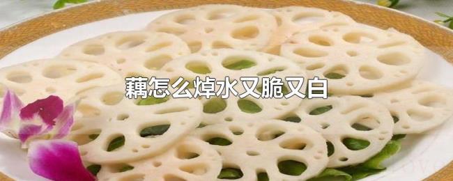 藕怎么焯水又脆又白 藕怎么焯水又脆又白