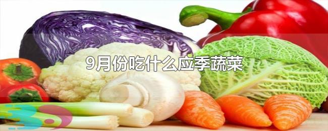 9月份吃什么应季蔬菜 9月份吃什么应季蔬菜