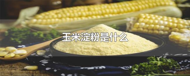 玉米淀粉是什么 玉米淀粉是什么