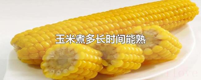 玉米煮多长时间能熟