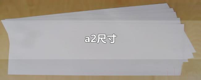 a2尺寸