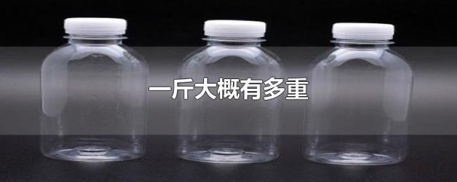 一斤大概有多重