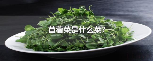 苜蓿菜是什么菜? 苜蓿菜是什么菜?