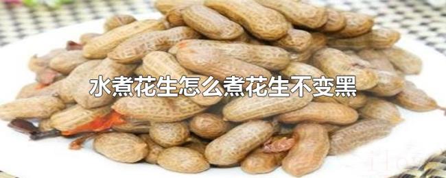 水煮花生怎么煮花生不变黑 水煮花生怎么煮花生不变黑