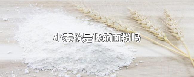 小麦粉是低筋面粉吗