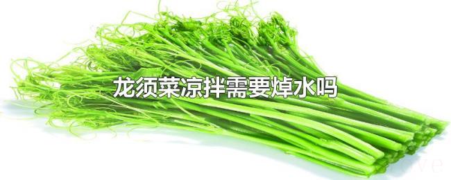 龙须菜凉拌需要焯水吗