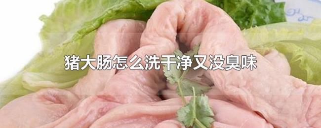 猪大肠怎么洗干净又没臭味 猪大肠怎么洗干净又没臭味