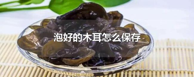泡好的木耳怎么保存