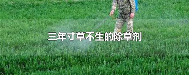 三年寸草不生的除草剂 三年寸草不生的除草剂