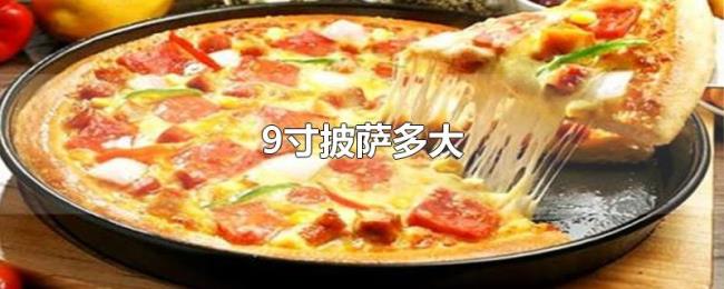 9寸披萨多大