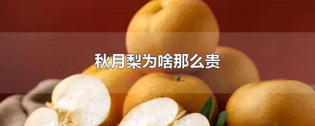 秋月梨为啥那么贵 秋月梨为啥那么贵