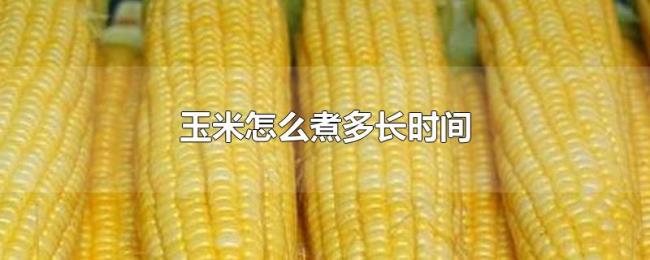 玉米怎么煮多长时间